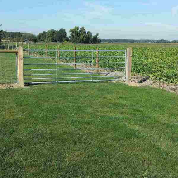 Sammen med et nettinggjerde er et grøntområde inngjerdet med en stålgrind