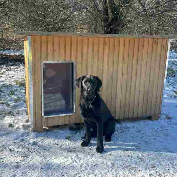 Svart hund sitter foran et hundehus i et vinterlandskap med snø på bakken.